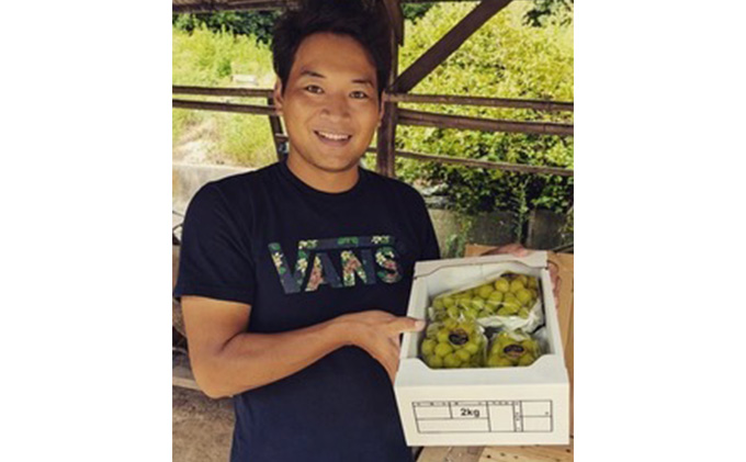 【2026年先行予約】 ぶどう 岡山県産 晴れの国からの 贈り物 ピオーネ ＆ シャインマスカット 詰合せ 1.2kg以上(2房)《2026年8月下旬-9月下旬出荷》 葡萄 ブドウ フルーツ 果物 数量限定 期間限定 里庄町