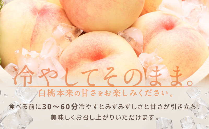 桃 2026年 先行予約 白桃 8玉 合計約2.0kg もも モモ 岡山県産 国産 フルーツ 果物 ギフト