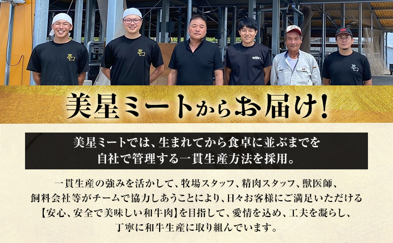 【定期便 2回 毎月届く】美星和牛 ステーキ食べ比べセット 各回約1.0kg  牛肉 岡山県 里庄町 送料無料
