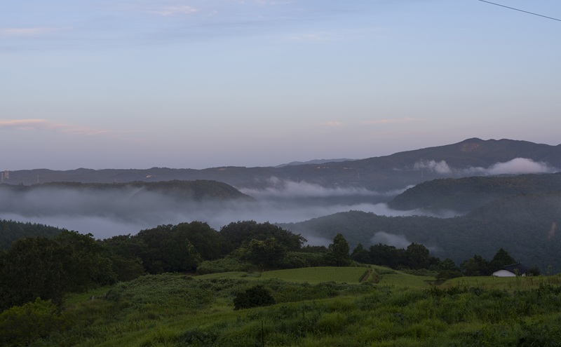 岡山県産 摘み落としぶどう 農家セレクト2種詰め合わせ 約1kg 葡萄 ブドウ 岡山県産 オーロラブラック ピオーネ クイーンニーナ シャインマスカット 数量限定