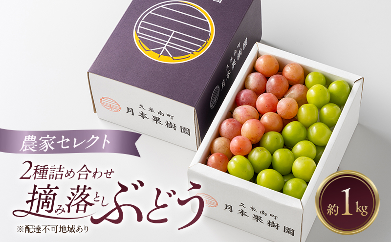 岡山県産 摘み落としぶどう 農家セレクト2種詰め合わせ 約1kg 葡萄 ブドウ 岡山県産 オーロラブラック ピオーネ クイーンニーナ シャインマスカット 数量限定