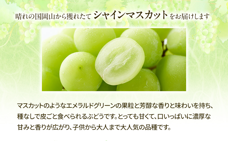 【2026年先行予約】 桃 ぶどう 欲張りセレクト 定期便 2回コース ( 白桃 ・ シャインマスカット ）《2026年7月上旬-8月中旬頃出荷》 もも モモ 葡萄 ブドウ 里庄町 数量限定