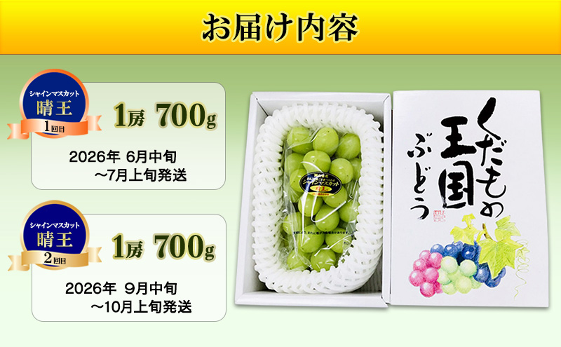 【2026年先行予約】晴れの国 大房厳選 シャインマスカット 晴王 夏秋 定期便 2回 コース《2026年6月中旬-10月上旬頃出荷》  ブドウ 果物 マスカット 岡山 里庄 数量限定