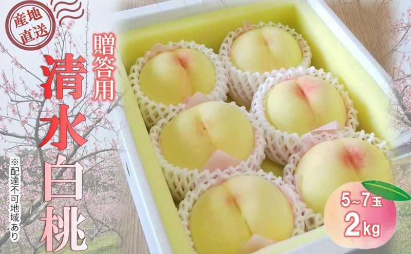 【桃 2026年 先行予約】贈答用 清水白桃 約2kg(5～7玉) もも モモ 岡山県 国産 フルーツ 果物