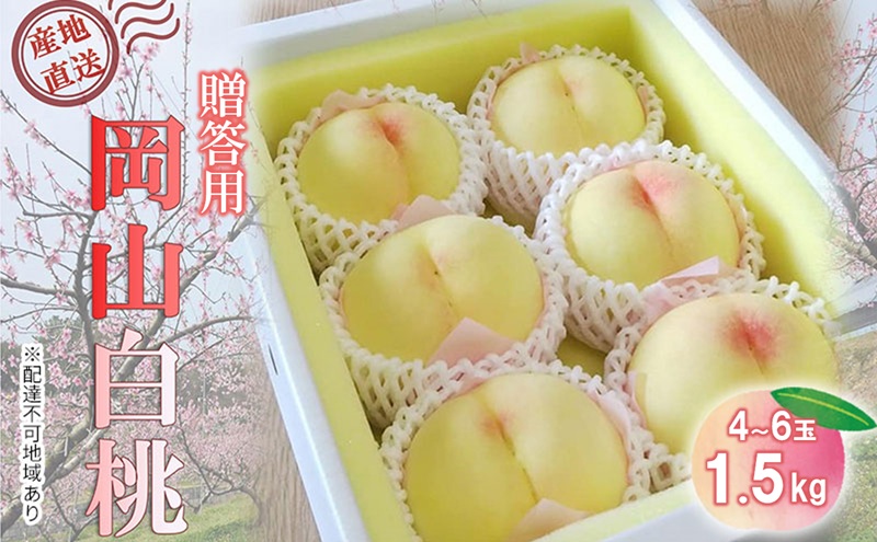 【桃 2026年 先行予約】贈答用 岡山白桃 約1.5kg(4～6玉) もも モモ 岡山県 国産 フルーツ 果物