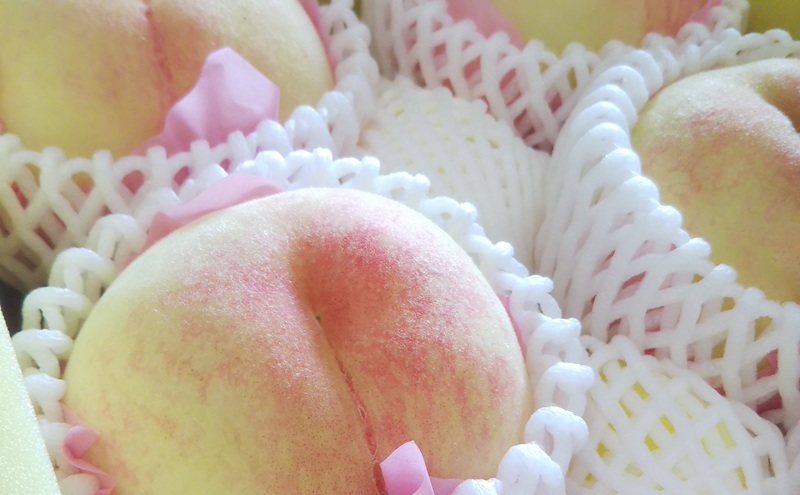 ãæ¡ 2026幎 å
è¡äºçŽãèŽççš å²¡å±±çœæ¡ çŽ2kg(5ïœ7ç) ãã ã¢ã¢ 岡山ç åœç£ ãã«ãŒã æç©