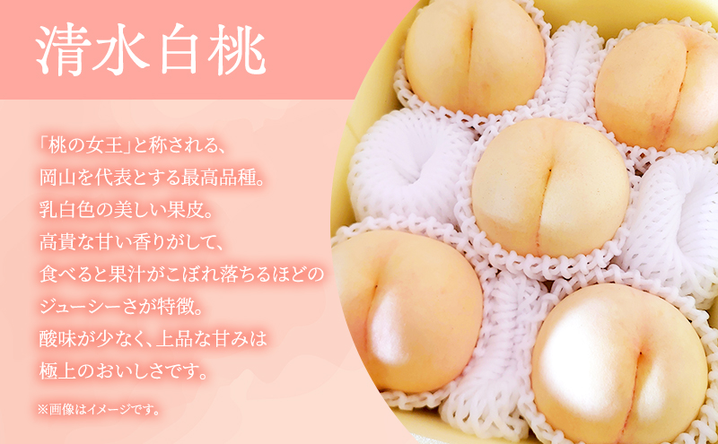 桃 2026年 先行予約 岡山県産 清水白桃 贈答用1.5kg(4～6玉) 朝採れ 農家直送 限定20箱