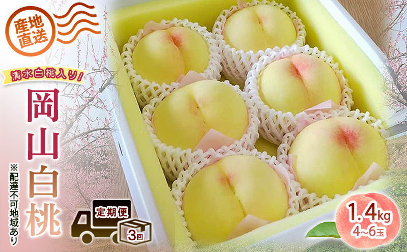 2026年 先行予約 ご家庭用 清水白桃 岡山白桃 食べ比べ定期便 1.4kg(4～6玉) もも モモ 岡山県 国産 フルーツ 果物