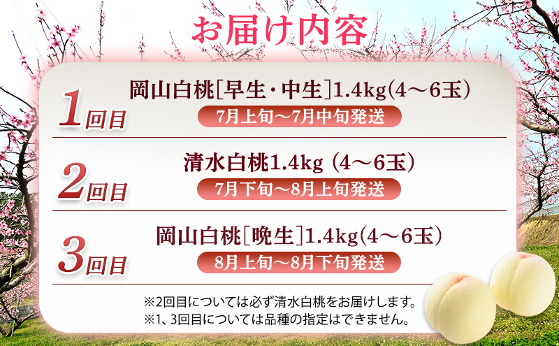 2026年 先行予約 ご家庭用 清水白桃 岡山白桃 食べ比べ定期便 1.4kg(4～6玉) もも モモ 岡山県 国産 フルーツ 果物