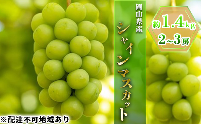 シャインマスカット 約1.4kg（2～3房） 岡山県産 葡萄 ぶどう 果物