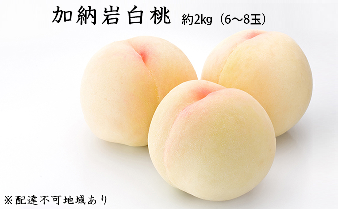 岡山県産 加納岩 白桃 約2kg（6～8玉）
