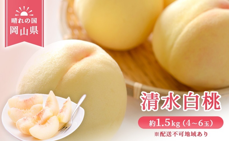 【 2026年 先行予約】 桃 岡山県産 清水 白桃 約1.5kg(4～6玉) 《2026年7月中旬-8月上旬頃出荷》 白桃 岡山 はくとう スイーツ フルーツ 果物 先行予約 数量限定 期間限定 岡山 里庄町 モモ もも 桃