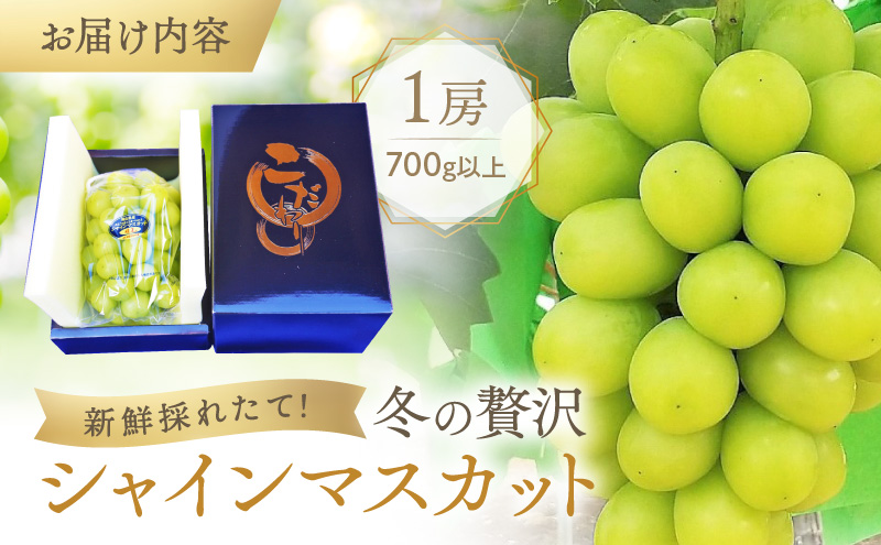 【2026年先行予約】 ぶどう 冬の贅沢 シャインマスカット 1房(700g以上)【11月20日から12月12日の期間に発送】 葡萄 ブドウ 岡山県産 フルーツ 果物 数量限定 期間限定 岡山 里庄町 