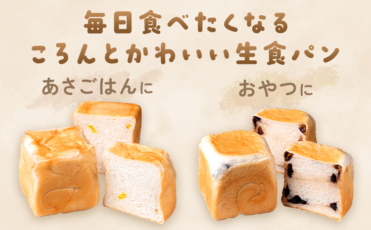 侍が恋する ましかくミニ生食パン 計6個 侍が恋するパン屋《30日以内に出荷予定(土日祝除く)》岡山 矢掛町 パン 食パン スイーツ 最上干柿 レーズン ベーコン プレーン ツナマヨ チョコ コーン あんこ 柚餅子 宇治抹茶 いちご メープル 矢掛の侍イタリアン