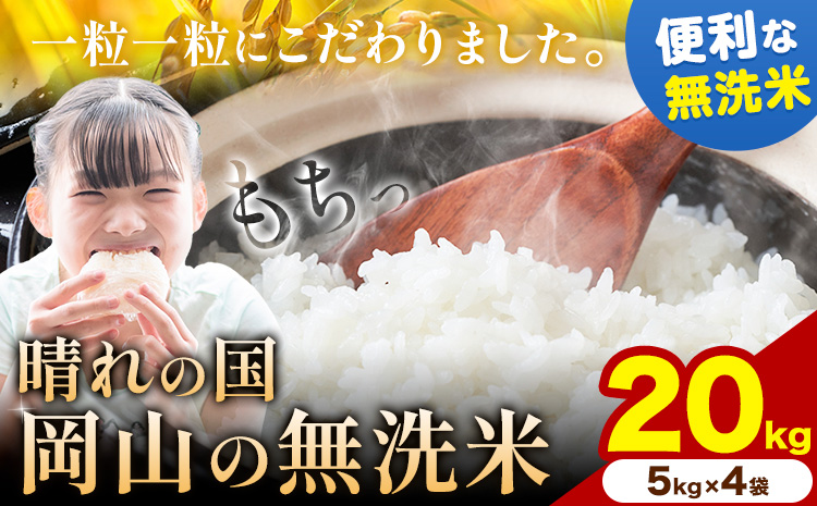 晴れの国岡山の無洗米 20kg 岡山県産 矢掛町《2月末-3月末頃出荷(土日祝除く) 》米 コメ