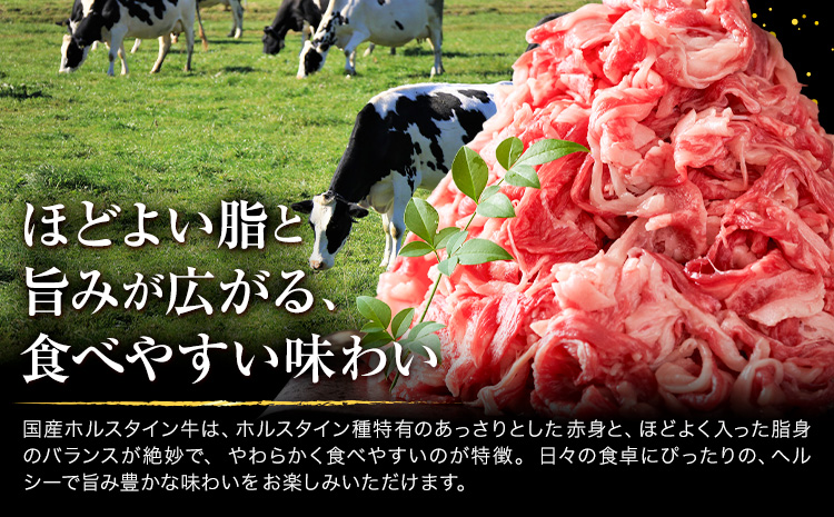 【6ヶ月定期便】牛肉 肉 国産牛 切り落とし ホルスタイン 大容量 小分け 1.2kg(300g×4)《お申込み月の翌月から出荷開始》岡山県産 岡山県 矢掛市 お肉 にく カレー 牛丼 牛肉 切り落し 小分け 切落し 牛肉 小分け 牛肉