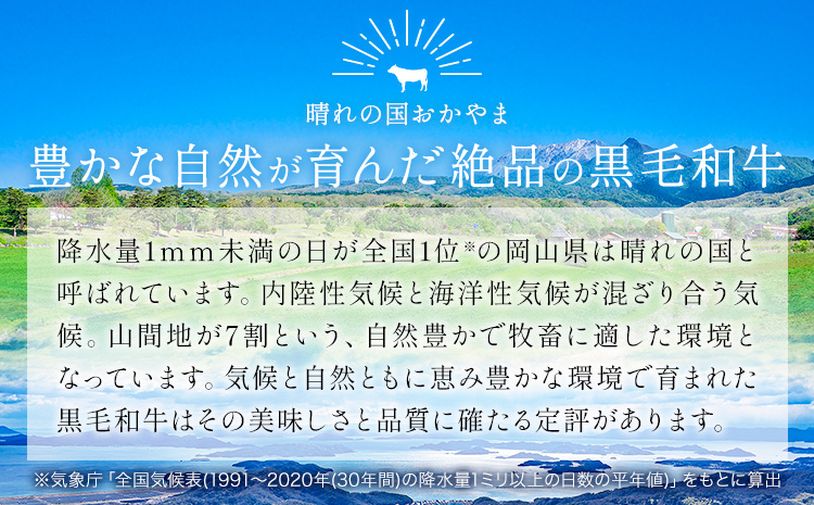 リブ or サーロイン ステーキ 1000g 数量限定 牛肉 冷凍 黒毛和牛 《30日以内に出荷予定(土日祝除く)》 個別 取分け 小分け 個包装 赤身 霜降り 岡山県 矢掛町 牛 牛肉 和牛 ステーキ グルメ 小分け 小分けパック 250g 送料無料