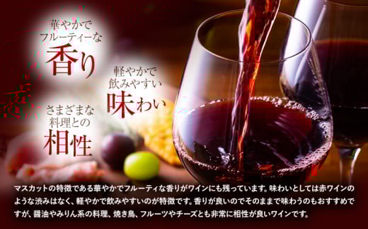 驟 譌・譛ャ繝ッ繧、繝ウ 750ml 2譛ャ 遏「謗帶叛騾 蟯。螻ア逵檎泙謗帷伴縲30譌・莉・蜀縺ォ蜃コ闕キ莠亥ョ(蝨滓律逾晞勁縺)縲 驟 繝ッ繧、繝ウ 蝗ス逕」 繝偵Ο繝上Φ繝悶Ν繧ー 襍、繝ッ繧、繝ウ 蝗ス逕」 繝悶ラ繧ヲ 100シ