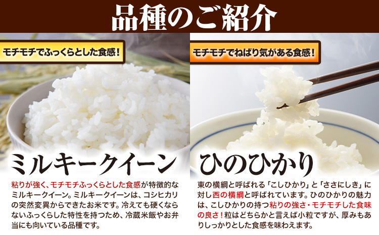 令和7年産 青空市きらり 10kg 岡山県産 (品種はお選びいただけません) 青空市きらり《30日以内に発送予定(土日祝除く)》岡山県 矢掛町 白米 精米 米 コメ