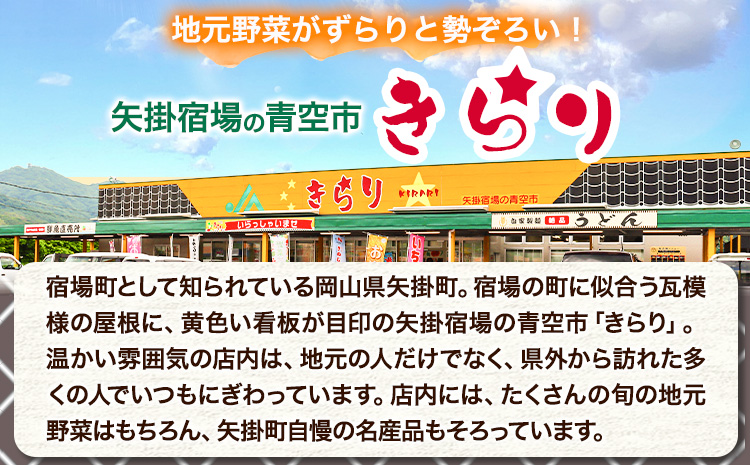 令和7年産 青空市きらり 10kg 岡山県産 (品種はお選びいただけません) 青空市きらり《30日以内に発送予定(土日祝除く)》岡山県 矢掛町 白米 精米 米 コメ
