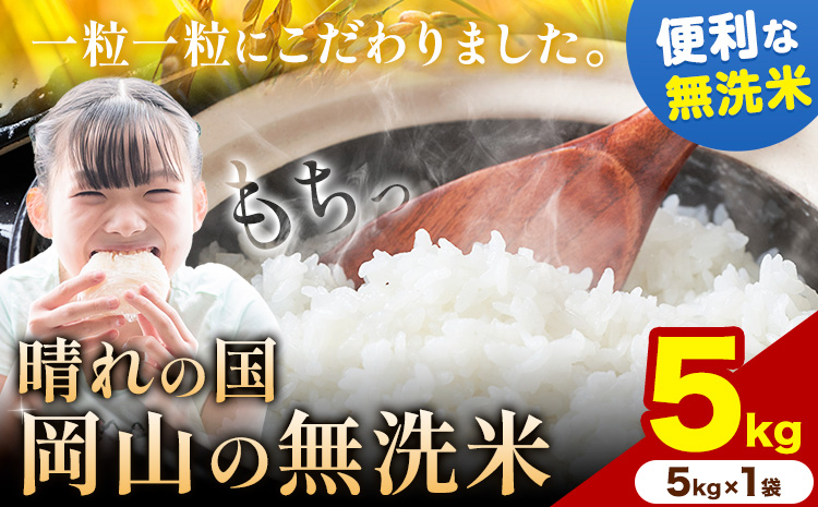 【年明け発送！】受け取り安心♪   晴れの国岡山の無洗米 5kg  岡山県産 矢掛町《1月上旬-2月末頃出荷(土日祝除く)》米 コメ