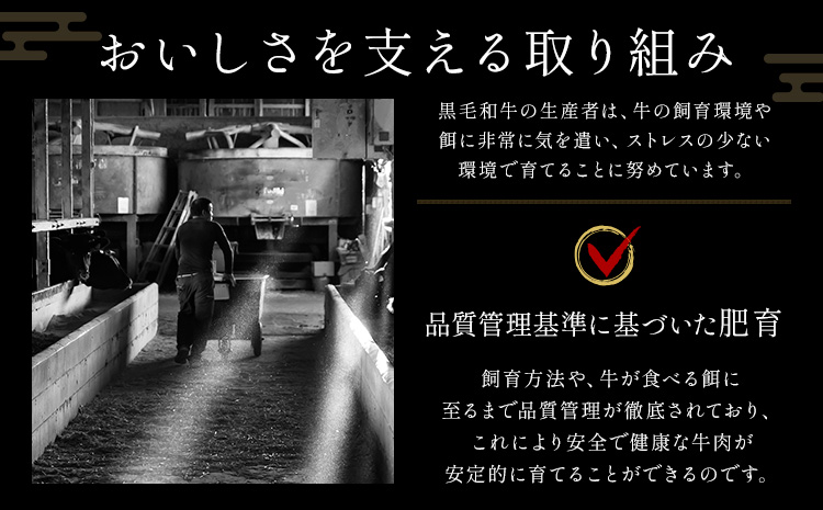 リブ or サーロイン ステーキ 1000g 数量限定 牛肉 冷凍 黒毛和牛 《30日以内に出荷予定(土日祝除く)》 個別 取分け 小分け 個包装 赤身 霜降り 岡山県 矢掛町 牛 牛肉 和牛 ステーキ グルメ 小分け 小分けパック 250g 送料無料