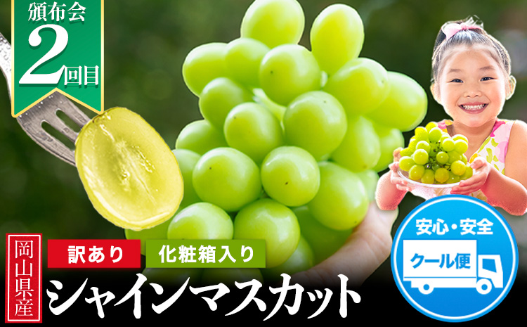 岡山県産 旬の 人気 くだもの おすすめ 定期便 全2回 桃 合計1.3kg シャインマスカット 合計1.3kg《7月上旬～11月中旬頃より発送予定》フルーツ 果物 定期便 先行予約 お取り寄せ デザート フルーツ定期便 果物定期便 くだもの定期便 送料無料