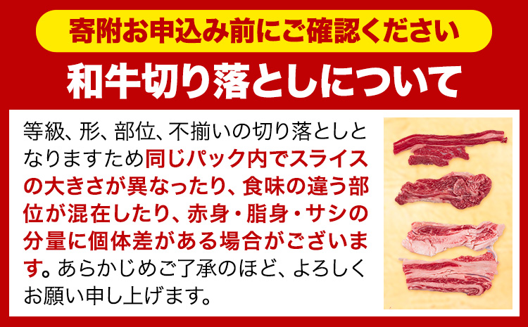 ã6ã¶æå®æäŸ¿ãçè è åœç£ç åãèœãšã ãã«ã¹ã¿ã€ã³ 倧容é å°åã 600g(300gÃ2) ããç³èŸŒã¿æã®ç¿æããåºè·éå§ã岡山çç£ å²¡å±±ç ç¢æåž ãè ã«ã ã«ã¬ãŒ ç䞌 çè åãèœã å°åã åèœã çè å°åã çè