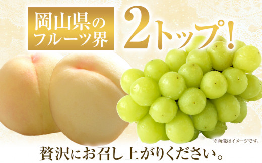 【先行予約】 岡山白桃 & シャインマスカット（晴王）セット【配送不可地域あり】 《7月上旬-8月中旬頃出荷》 岡山県 矢掛町 桃 白桃 もも 岡山白桃 シャインマスカット マスカット ぶどう 晴王