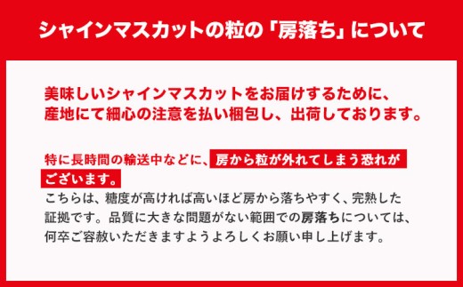 21. 遘蜩 繧キ繝」繧、繝ウ繝槭せ繧ォ繝繝 邏1.2kg 2謌ソ 縲9譛井ク頑流-11譛井ク頑流鬆蜃コ闕キ縲 st-p