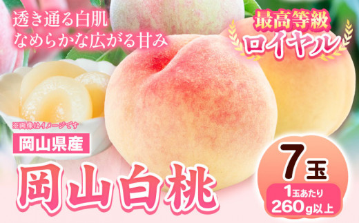 225.【先行予約】岡山県産 岡山白桃  7玉 (260g以上) 【配送不可地域あり】 《7月上旬-8月下旬頃出荷》 岡山県 矢掛町 桃 もも 白桃 果物