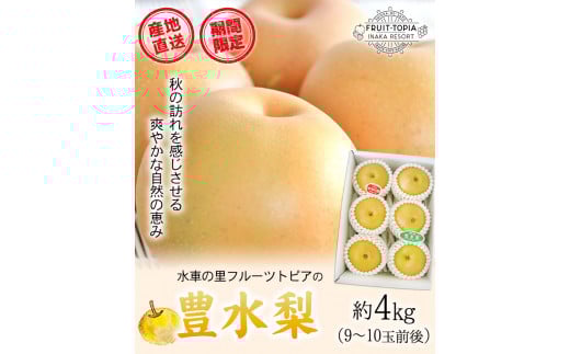 ç£å°çŽé è±æ°Žæ¢š çŽ4kg (9~10çååŸ) æ°Žè»ã®éãã«ãŒããã㢠æééå® å²¡å±±ç ç¢æçºç£ ãªã æç© ã¹ã€ãŒã ãã«ãŒã ãã¶ãŒãã9æäžæ¬-10æäžæ¬é åºè·ã