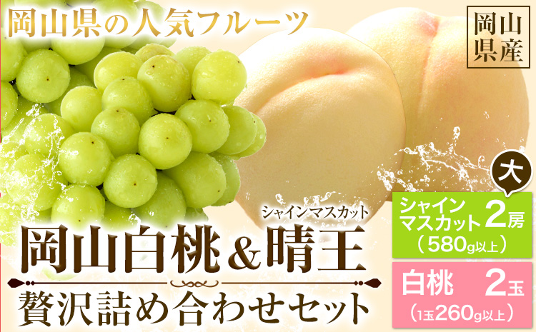 【先行予約】 岡山白桃 & シャインマスカット（晴王）セット【配送不可地域あり】 《7月上旬-8月中旬頃出荷》 岡山県 矢掛町 桃 白桃 もも 岡山白桃 シャインマスカット マスカット ぶどう 晴王