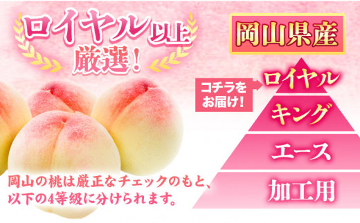 225.ãå
è¡äºçŽã岡山çç£ å²¡å±±çœæ¡ 7ç (260g以äž) ãé
éäžå¯å°åããã ã7æäžæ¬-8æäžæ¬é åºè·ã 岡山ç ç¢æçº æ¡ ãã çœæ¡ æç©