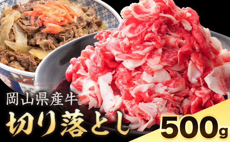 岡山県産牛 切り落とし 交雑牛 500g お試し 大容量《60日以内に出荷予定(土日祝除く)》 岡山県 矢掛町 肉 送料無料