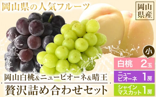 249.【先行予約】 岡山白桃 & シャインマスカット（晴王）& ニューピオーネ セット【配送不可地域あり】白桃 ロイヤル シャインマスカット 1房 ニューピオーネ 1房《7月上旬-8月中旬頃出荷》 岡山県 矢掛町 桃 もも 晴王 ぶどう 詰め合わせ 果物