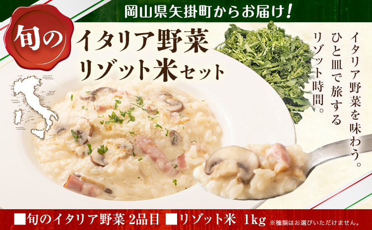 野菜 米 旬の イタリア野菜 2品目 リゾット米 1kg セット 《1月上旬-3月末頃出荷》JA晴れの国 矢掛アグリセンター 野菜 ねぎ ネギ 国産 イタリア リーキ プレコーチェ カタローニャ 西洋 リゾット 送料無料