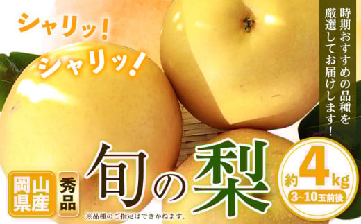 【先行予約】岡山県産 旬の 梨 約4kg 3〜10玉前後 梨 秀品 新高 愛宕 スイーツ フルーツ デザート 旬 岡山県矢掛町《9月上旬-1月末頃に出荷予定》