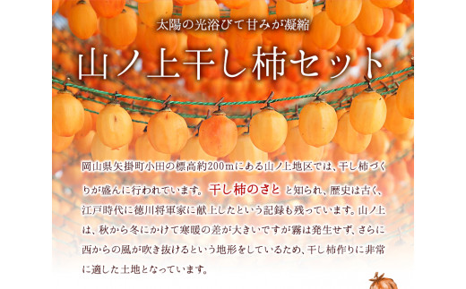 【2026年発送先行予約】 山ノ上 干し柿 セット 《2026年12月上旬-12月末頃出荷》 水車の里フルーツトピア 岡山県 矢掛町 柿 果物 フルーツ 干柿餅