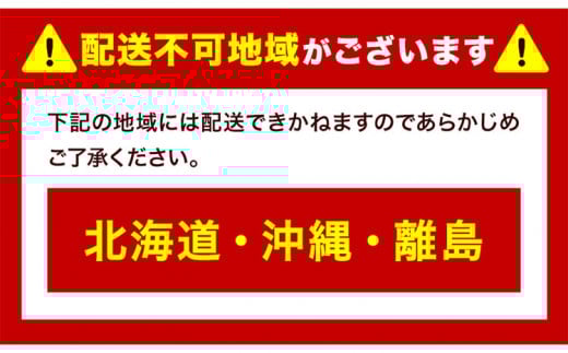 253.【先行予約】 岡山白桃 & シャインマスカット（晴王）セット【配送不可地域あり】 《7月上旬-8月中旬頃出荷》 岡山県 矢掛町 桃 白桃 もも 岡山白桃 シャインマスカット マスカット ぶどう 晴王