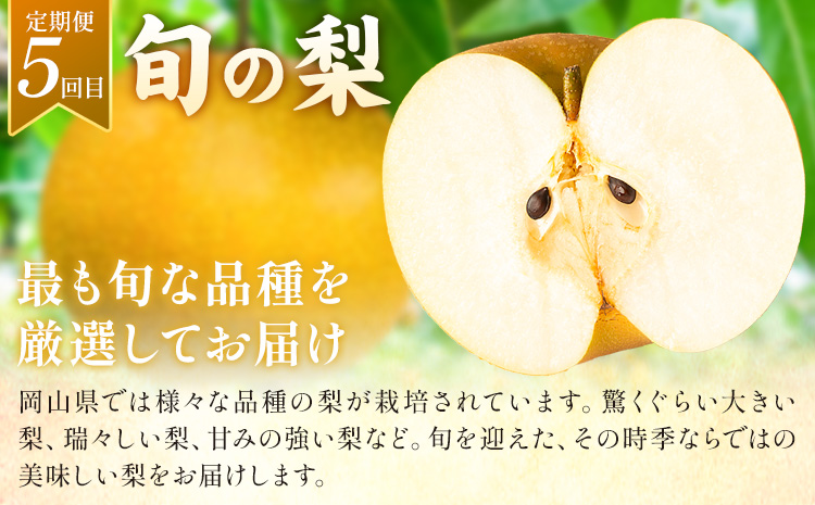 フルーツ 定期便 全5回 岡山県の 贅沢 フルーツ定期便 白桃 黄桃 ニューピオーネ シャインマスカット 梨《2026年7月-2027年12月末頃出荷》岡山県 矢掛町 送料無料 果物 フルーツ 旬 もも ぶどう なし お取り寄せフルーツ