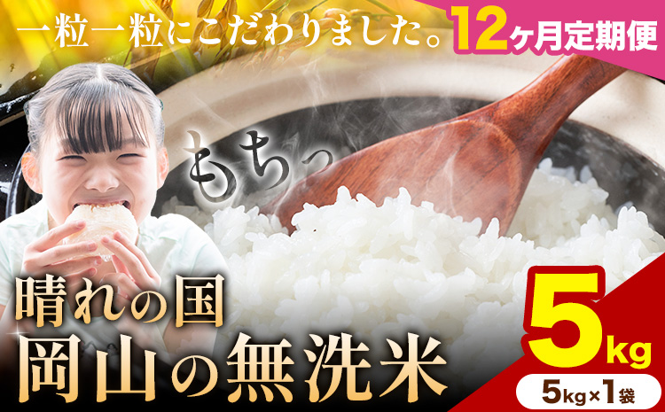 【12ヶ月定期便】晴れの国岡山の無洗米 5kg 岡山県産 矢掛町《申し込み翌月から発送》米 コメ