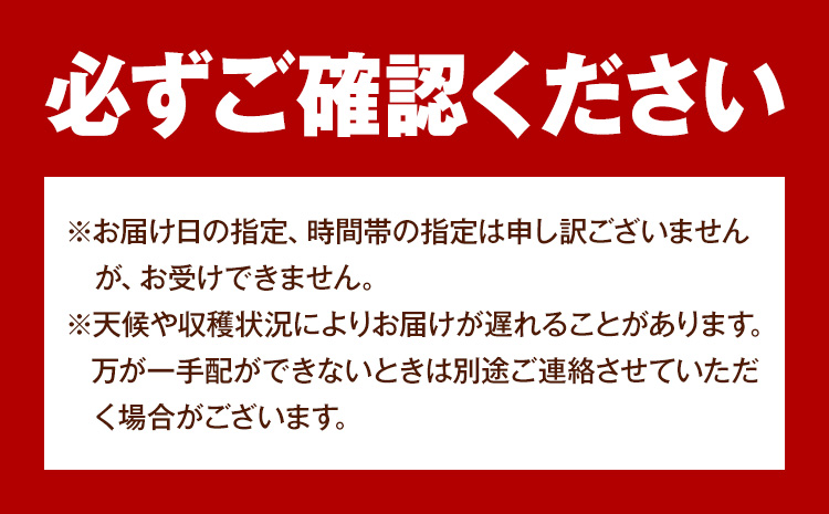 【2026年発送先行予約】岡山県産 桃太郎ぶどう 1.3kg 2房-3房 晴れの国おかやま館 《2026年9月上旬-9月下旬頃出荷》岡山県 矢掛町 葡萄 ぶどう 果物 スイーツ フルーツ デザート【配送不可地域あり】（離島）