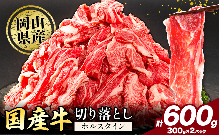 牛肉 肉 国産牛 切り落とし ホルスタイン 大容量 小分け 600g(300g×2) 《30日以内に出荷予定(土日祝除く)》岡山県産 岡山県 矢掛市 お肉 にく カレー 牛丼 牛肉 切り落し 小分け 切落し 牛肉 小分け 牛肉