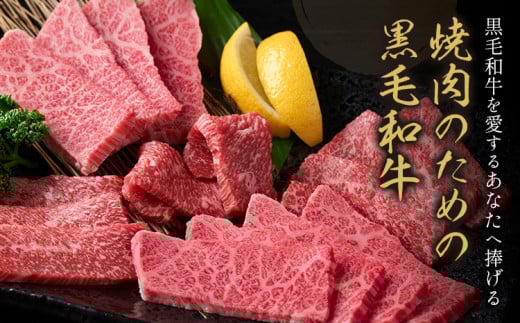 霜降り 赤身 食べ比べ セット 焼肉 650g 数量限定 牛肉 冷凍 黒毛和牛 《30日以内に出荷予定(土日祝除く)》 個別 取分け 小分け 個包装 赤身 霜降り 岡山県 矢掛町 牛 牛肉 和牛 焼き肉 グルメ 小分け 小分けパック 送料無料