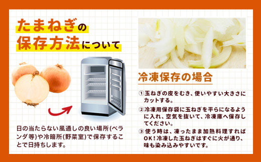 邇峨ュ縺 遏「謗帷伴逕」 險ウ縺ゅj 邇峨ュ縺 邏10kg 縲5譛域忰縲7譛井クュ譌ャ鬆縺ォ蜃コ闕キ莠亥ョ壹 邏 10kg 驥手除 蟯。螻ア逵 遏「謗帷伴 縺溘∪縺ュ縺 螟ァ縺阪&荳肴純縺 險ウ縺ゅj縺溘∪縺ュ縺