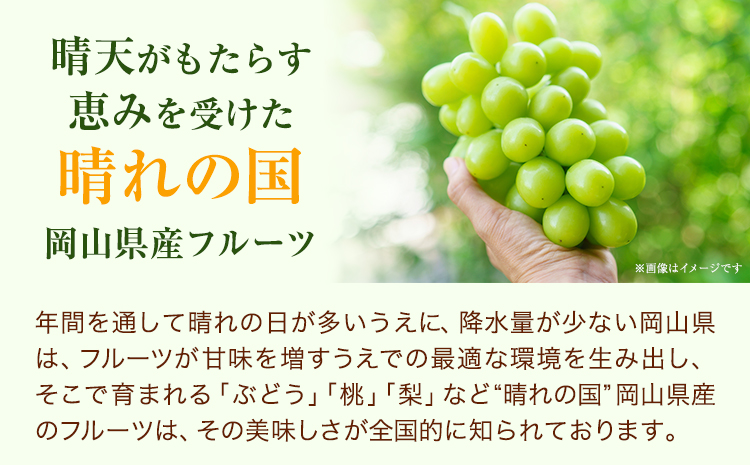 【2026年発送先行予約】 桃・ピオーネ詰め合わせ 約1kg クール便 冷蔵便 桃 もも 葡萄 ブドウ ぶどう ピオーネ フルーツ セット 晴れの国おかやま館 《2026年8月下旬-9月中旬頃出荷》 フルーツ 果物 果実 岡山県 矢掛町