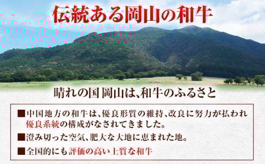 246.A5等級 黒毛和牛 サーロインステーキ 約400g【配送不可地域あり】《30日以内に出荷予定(土日祝除く)》 岡山県 矢掛町 ステーキ サーロイン
