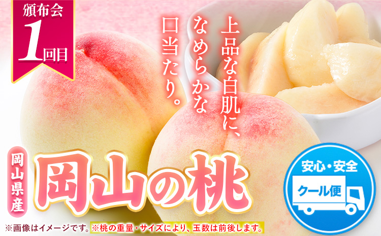 岡山県産 旬の 人気 くだもの おためし 定期便 全2回 桃 合計1kg シャインマスカット 合計650g 《7月上旬～11月中旬頃より発送予定》フルーツ 果物 定期便 先行予約 お取り寄せ デザート フルーツ定期便 果物定期便 くだもの定期便 送料無料