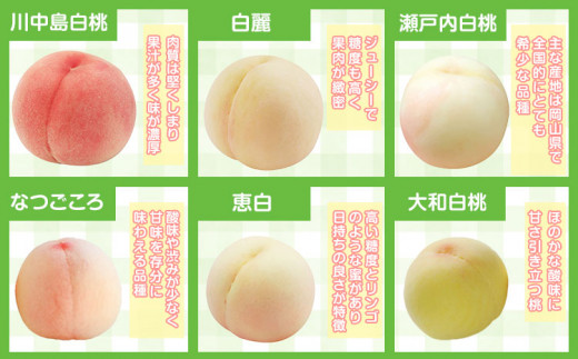 225.ãå
è¡äºçŽã岡山çç£ å²¡å±±çœæ¡ 7ç (260g以äž) ãé
éäžå¯å°åããã ã7æäžæ¬-8æäžæ¬é åºè·ã 岡山ç ç¢æçº æ¡ ãã çœæ¡ æç©